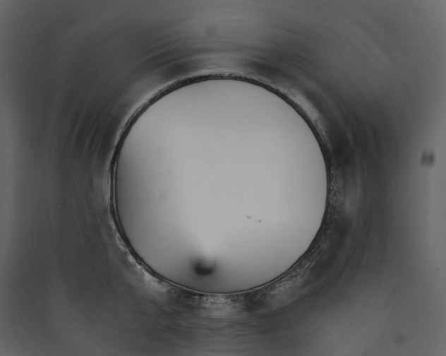 X0000089940807200707131452