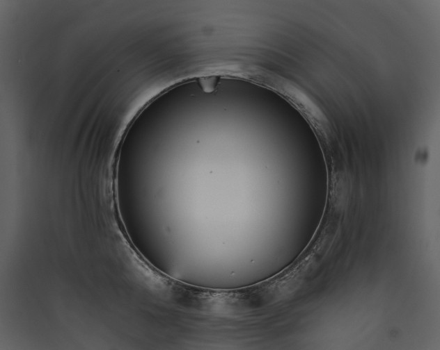 X0000089940808200707131452