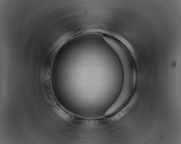 X0000089940809200707131452