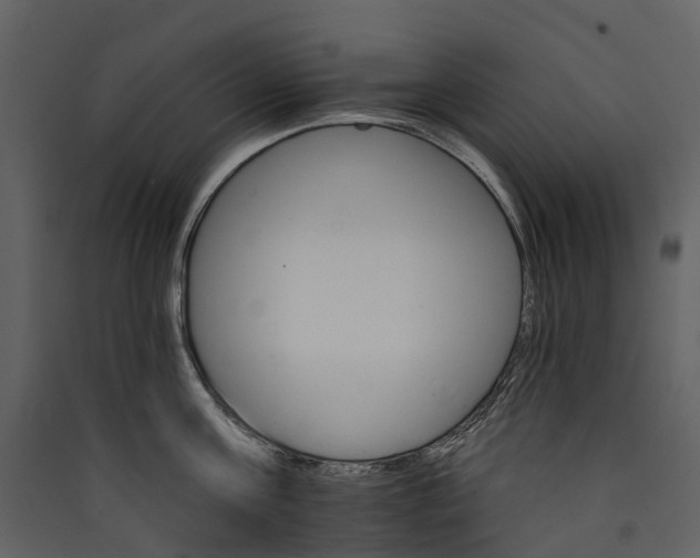 X0000089940811200707131452