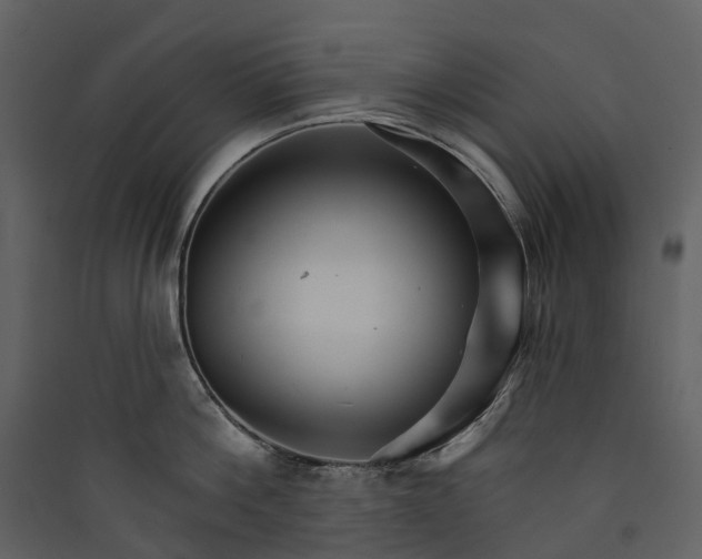 X0000089940812200707131452