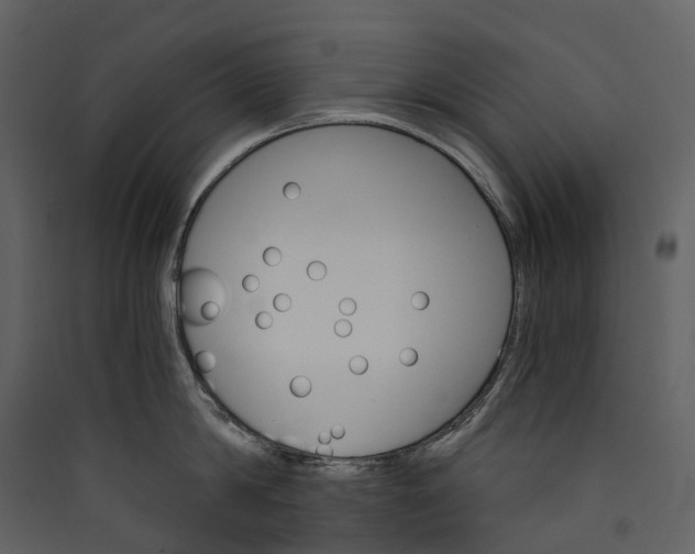 X0000089940814200707131452