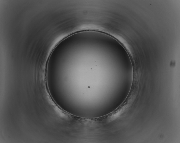 X0000089940815200707131452