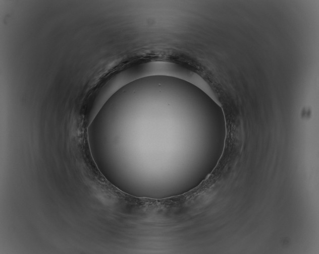 X0000089940818200707131451