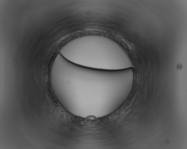 X0000089940821200707131451