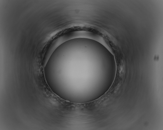 X0000089940822200707131451