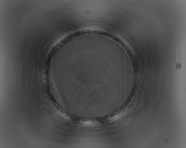 X0000089940823200707131451