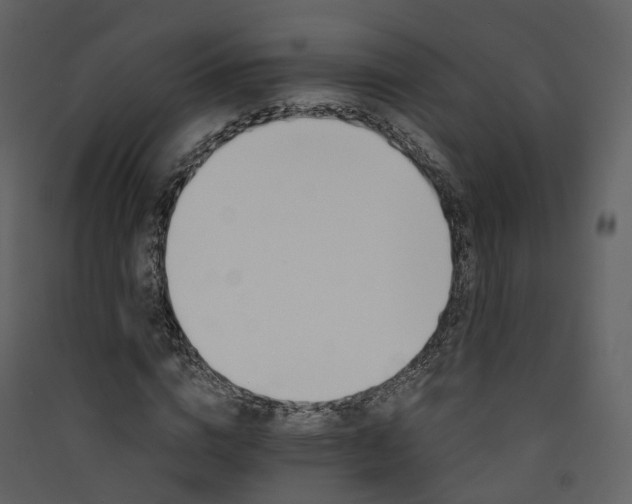 X0000089940824200707131451