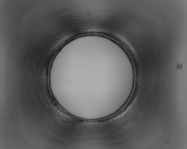 X0000089940825200707131451