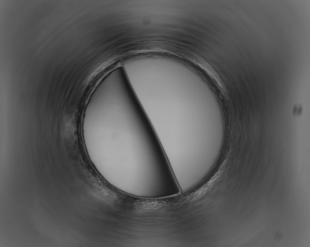 X0000089940826200707131451