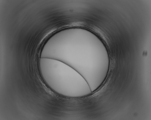 X0000089940827200707131451