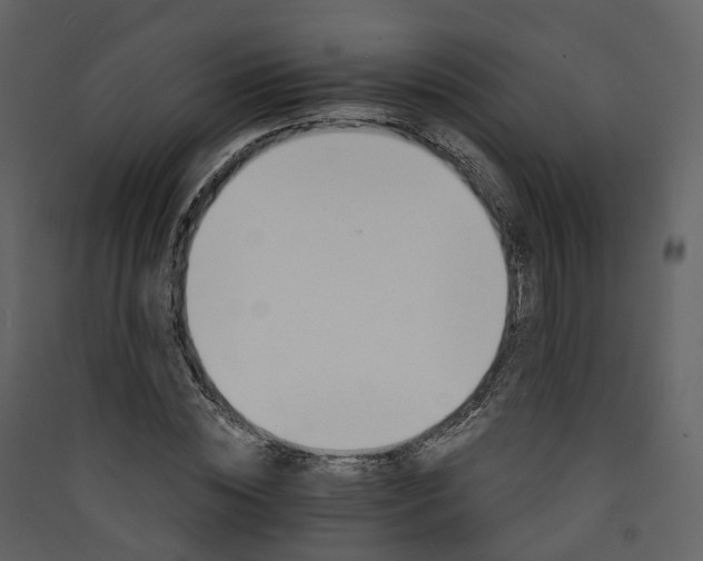 X0000089940828200707131451