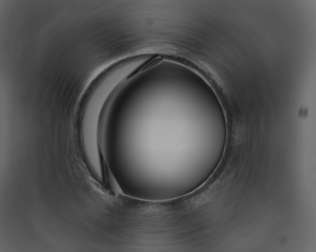 X0000089940830200707131451