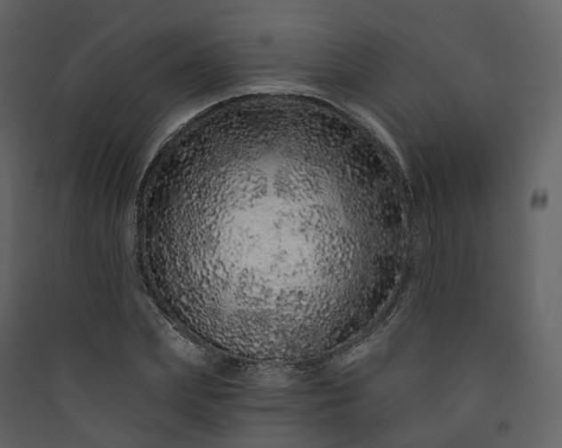 X0000089940831200707131451