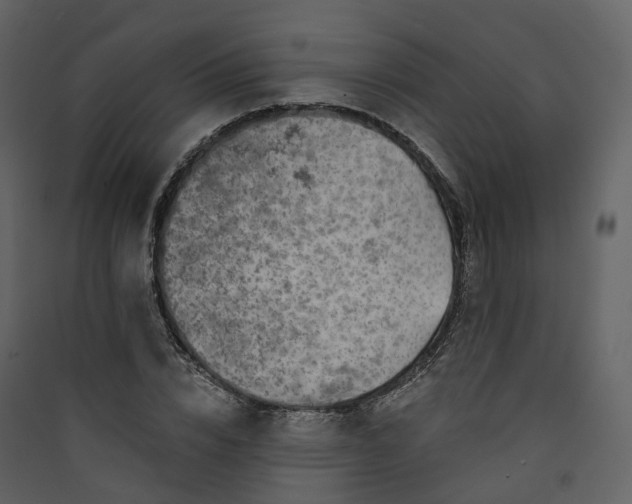 X0000089940832200707131451