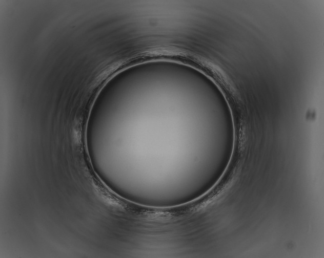 X0000089940833200707131451