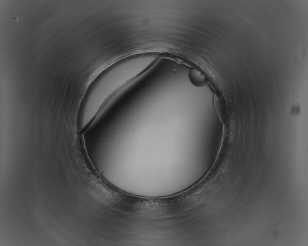 X0000089940834200707131451