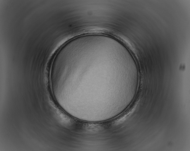 X0000089940835200707131451