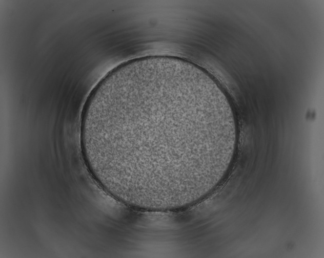 X0000089940836200707131451