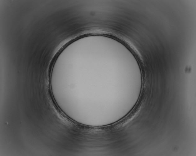 X0000089940837200707131451