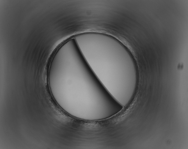 X0000089940838200707131451