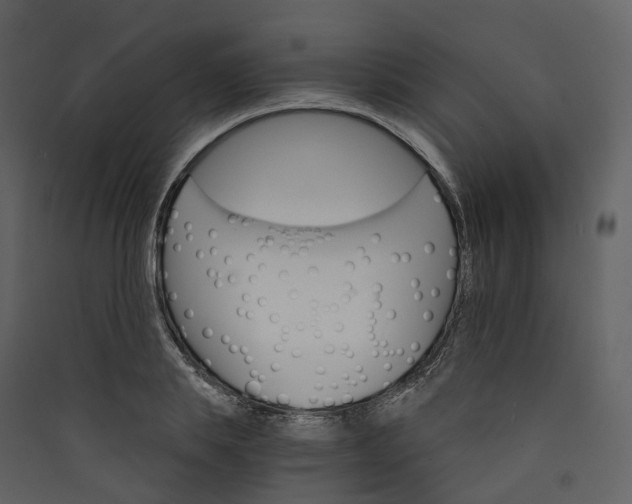 X0000089940839200707131451