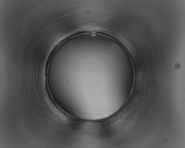 X0000089940840200707131451