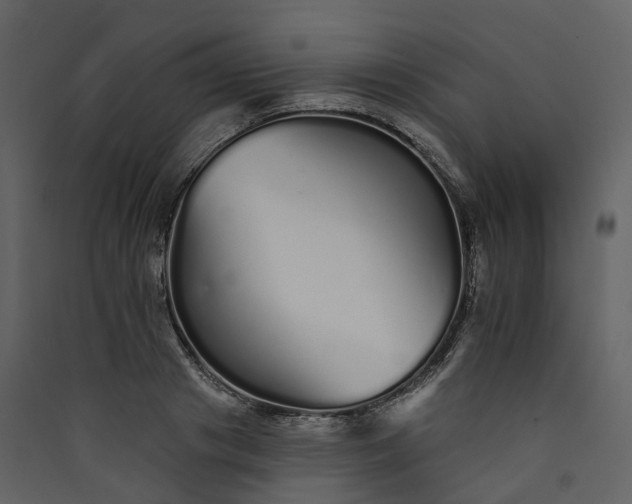 X0000089940841200707131451