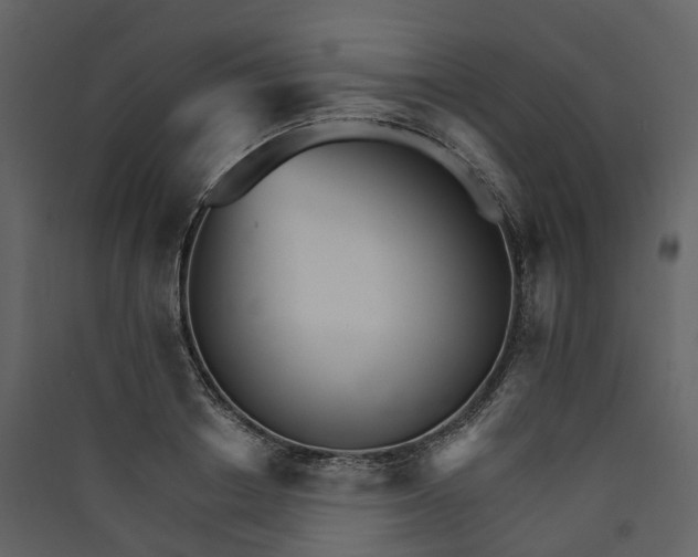 X0000089940842200707131451