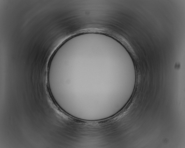 X0000089940844200707131451