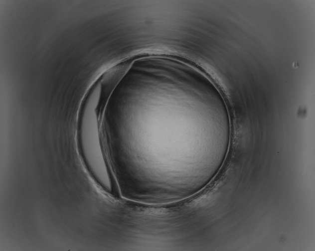 X0000089940845200707131451