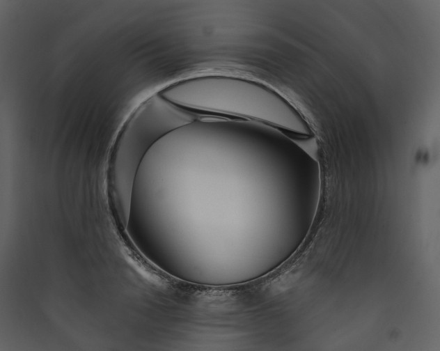 X0000089940846200707131451