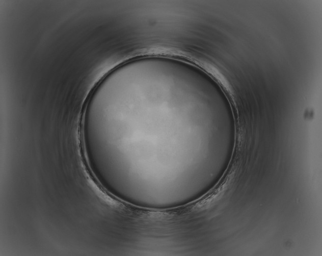 X0000089940847200707131451