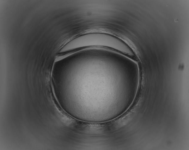 X0000089940849200707131451