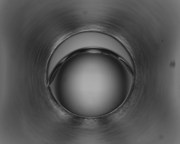 X0000089940850200707131451