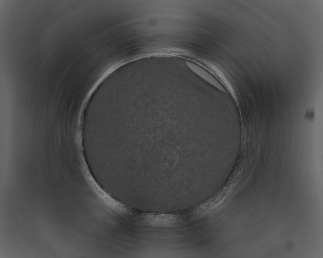 X0000089940851200707131452