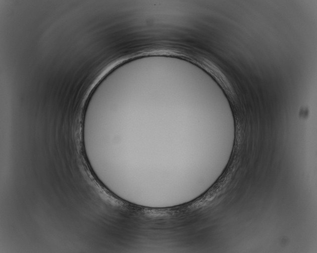 X0000089940852200707131452