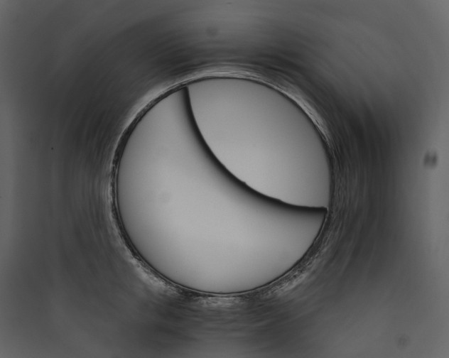 X0000089940853200707131452