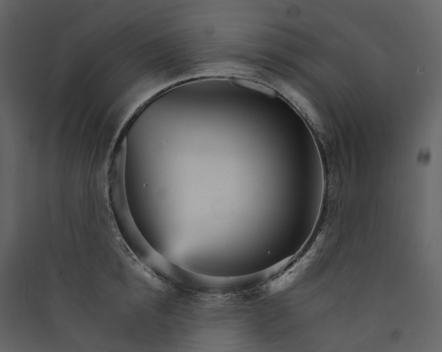 X0000089940854200707131452