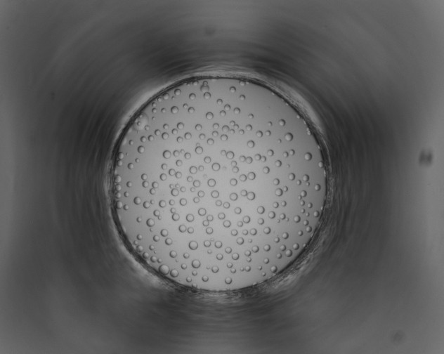 X0000089940855200707131452