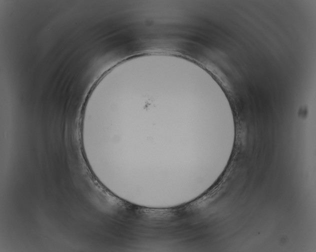 X0000089940856200707131452