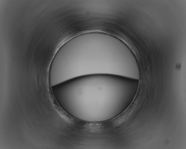 X0000089940858200707131452