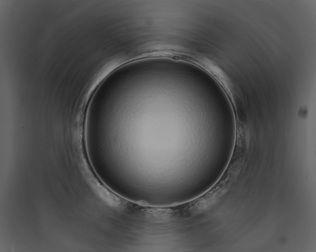 X0000089940859200707131452