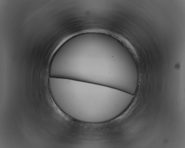 X0000089940860200707131452