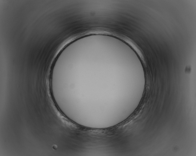 X0000089940861200707131452