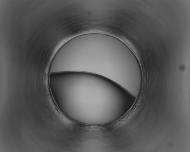 X0000089940862200707131452