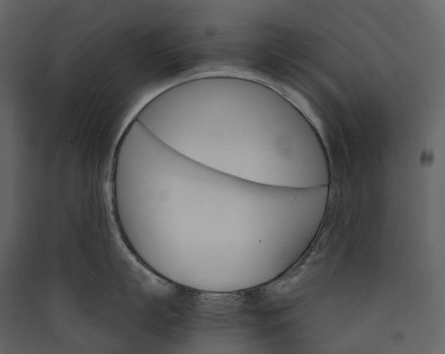 X0000089940863200707131452