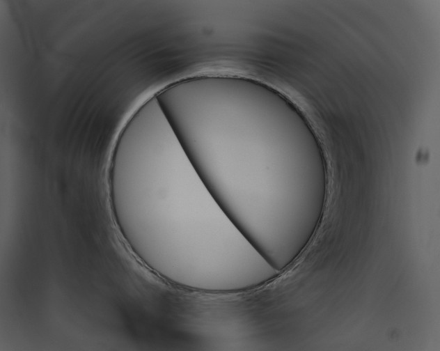 X0000089940864200707131452