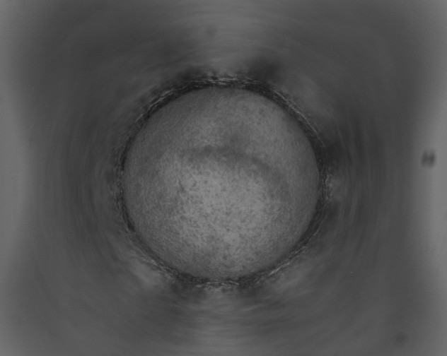 X0000089940865200707131451