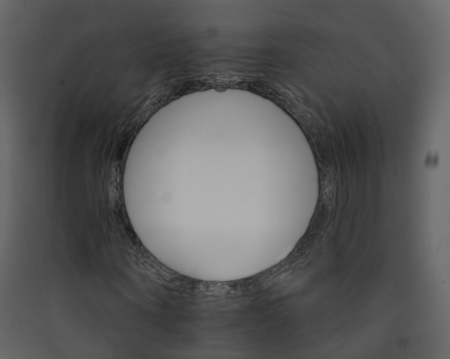 X0000089940866200707131451